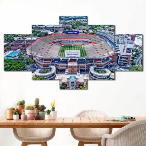 Florida Gators Stadium Aerial Wall Art
