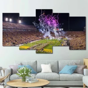 Iowa Hawkeyes Stadium Fireworks Wall Art