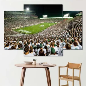 Michigan State Spartan Stadium Night Wall Art