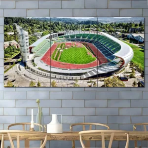 Oregon Ducks Autzen Stadium Aerial Wall Art