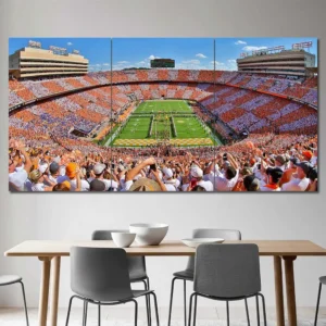 Tennessee Volunteers Neyland Stadium Wall Art